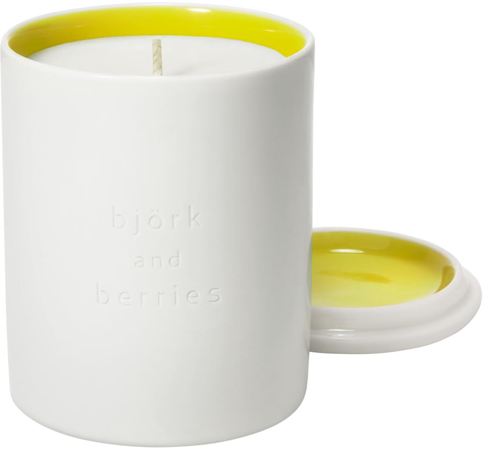 Björk & Berries Skörd Scented Candle 240g