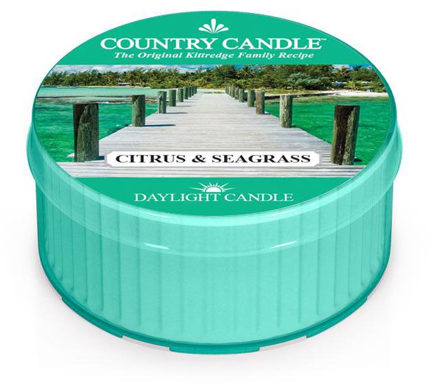 Country Candle Daylight Citrus & Seagrass