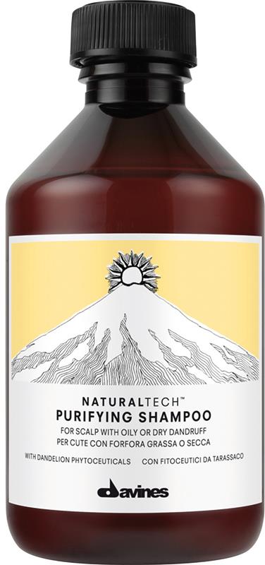 Davines Naturaltech Purifying Shampoo 250